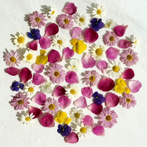 Edible Flowers - 'Amelia' Freeze Dried Flower Mix - Food Grade