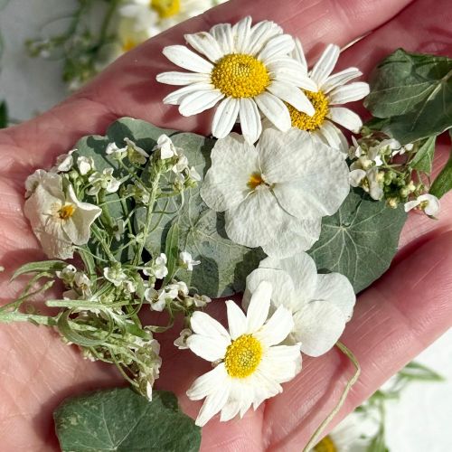 Edible Flowers - 'Monica' Freeze Dried Flower and Petal Mix - Food Grade - Image 2