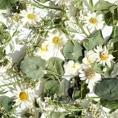 Edible Flowers - 'Monica' Freeze Dried Flower and Petal Mix - Food Grade - Image 3