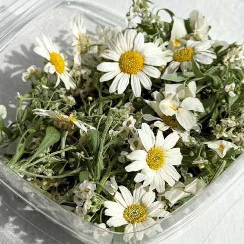 Edible Flowers - 'Monica' Freeze Dried Flower and Petal Mix - Food Grade - Image 4