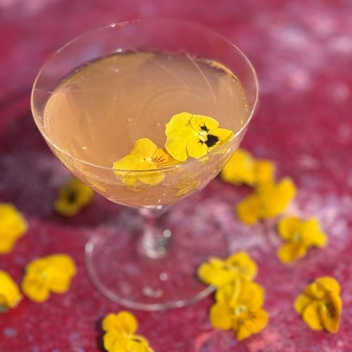 Edible Freeze Dried Bright Yellow Violas - Food Grade - Image 3