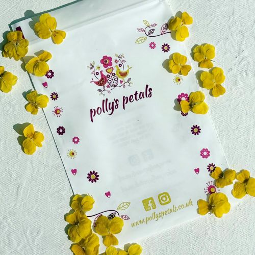 Edible Freeze Dried Bright Yellow Violas - Food Grade - Image 7