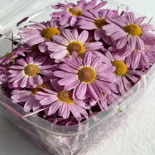 Edible Flowers - Freeze Dried 'Arabella' mix of Pink Daisy, Cosmos, Red Amaranth and Butterfly Sorrel Leaves - Certified Food Grade - Image 7