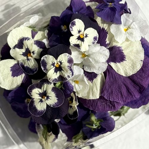 Edible Flowers - 'Emily' Freeze Dried Purple & White Viola, Pansy and Alyssum Mix - Certified Food Grade - Image 5