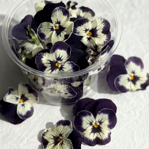 Edible Freeze Dried Bright Purple & White Violas - Food Grade - Image 5