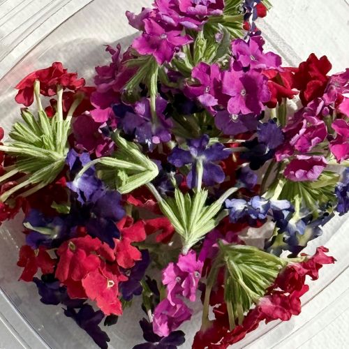 Edible Freeze Dried Mix of Red, Blue, Purple & Pink Verbena Flower Petal Florets - Certified Food Grade - Image 7