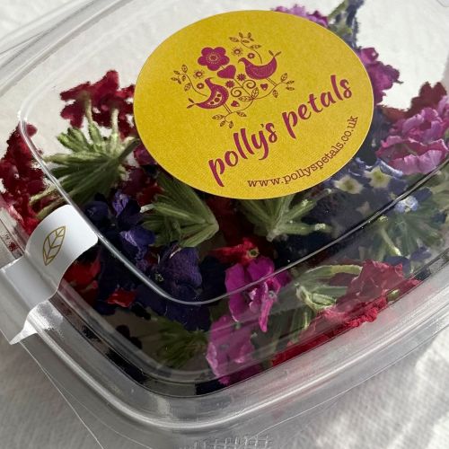 Edible Freeze Dried Mix of Red, Blue, Purple & Pink Verbena Flower Petal Florets - Certified Food Grade - Image 8